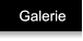 Galerie Galerie